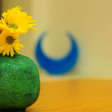 Hotel Ottopera (adults Only)