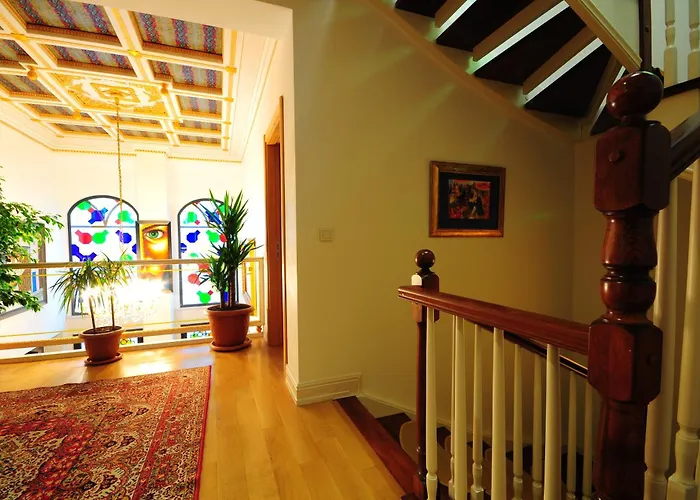 Ottopera (adults Only)