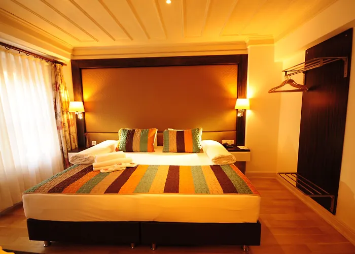 Ottopera (adults Only)